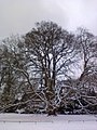 Hamburg, Hirschpark