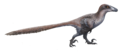 Deinonychus.