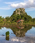 Water reflection of karst mountain, hut and green rice sheaf in a paddy field of Vang Vieng, Laos.jpg