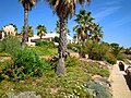 Gardens to the rear of the beach.