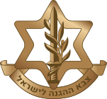 Israel Defense Forces