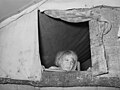 Child looking out of window of tent home near Sallisaw, Sequoyah County, Oklahoma, June 1939