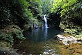 Lower Tiger Fern Double Waterfall