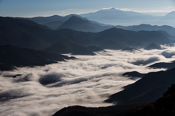 Vjose-Narte, Vlora Photograph: Fation Plaku