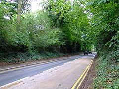 Pines Hill - geograph.org.uk - 2471838.jpg