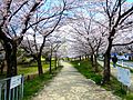 雨池公園 Amaike Park