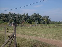 Belén de Escobar, Buenos Aires Province, Argentina - panoramio (5).jpg