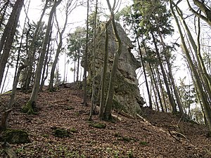 Burgstall Spitzenberg - Ansicht des Felsturmes an der Ostseite des Burghügels (April 2011)