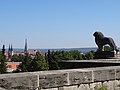 Blick vom „Löwen“ über die Innenstadt