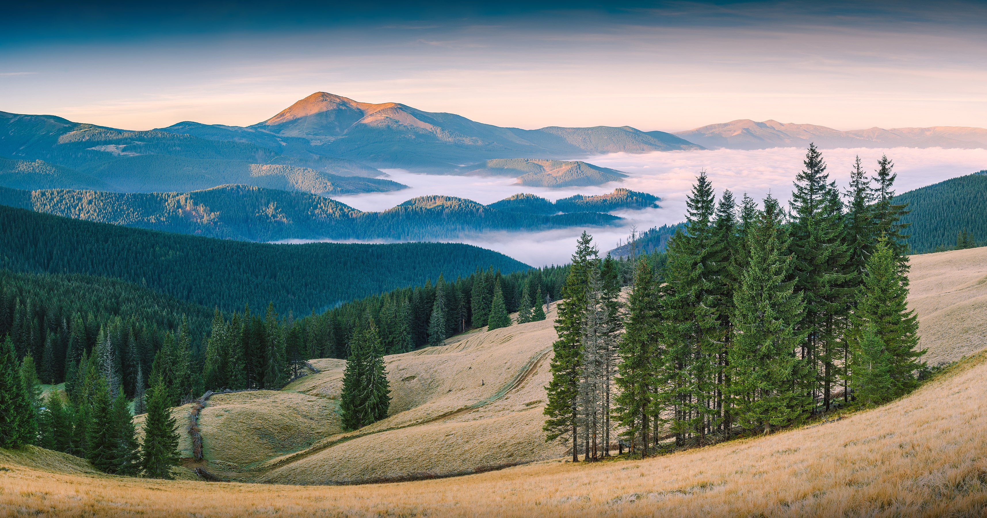 Carpathian Biosphere Reserve, Zakarpattia Oblast, Ukraine Author: Vian