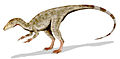 Compsognathus