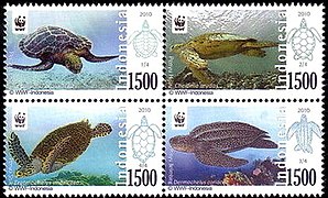 Stamp of Indonesia - 2010 - Colnect 684532 - Sea Turtles.jpeg