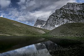 Wild beauty reflections.jpg