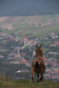 View to Stollhof, near the Ortlerhütte © RiBe353