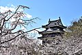 Nishio Castle / 西尾城