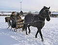 Beide Insassen in historischen Waschbärpelzen. Der Fahrer gewann einen Preis für das "Beste Kostüm" (2007, USA)