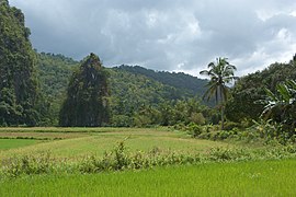 Puerto Princesa Subterranean Park, limestone formations, Palawan, Philippines.jpg