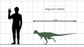 Stegoceras Scale Diagram