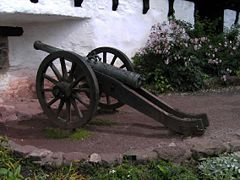 cannon at Wartburg