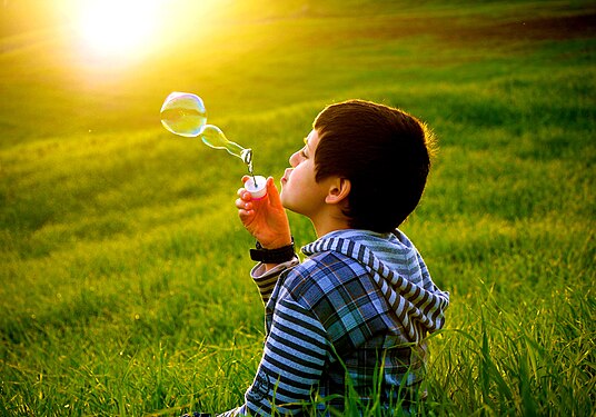 Soap bubbles in Algerian grassland Photograph: Moh tch