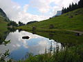 Seealpsee (CJ)