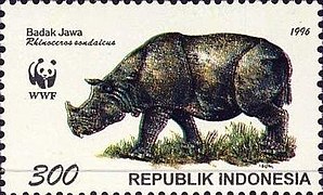 Stamp of Indonesia - 1996 - Colnect 253508 - Javan Rhinoceros - Rhinoseros sondaicus.jpeg