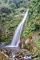 * Nomination Changey Waterfall, Lava, Kalimpong, West Bengal, India. --Joydeep 16:04, 25 June 2021 (UTC) * Decline  Oppose Blurry, overexposed waterfall, sorry. --Nefronus 21:50, 25 June 2021 (UTC)