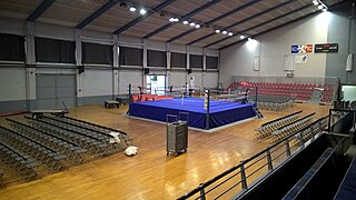 Petit palais des sports de lyon Boxe.jpg