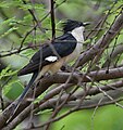 in Hyderabad, India.