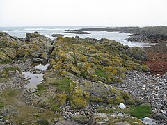 Rocky coast at Sandaig - geograph.org.uk - 4499805.jpg