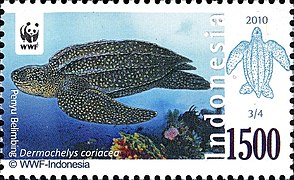 Stamp of Indonesia - 2010 - Colnect 379654 - Leatherback Sea Turtle Dermochelys coriacea.jpeg