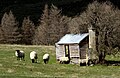 osmwiki:File:Shepherd's shelter. (13731594463).jpg