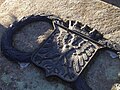 Plate with Nuremberg Crest from Pirckheimer's Grave