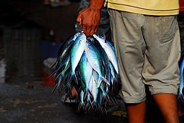 Port Moresby Fish Market.jpg