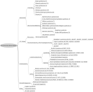 Chromosome abnormalities.svg