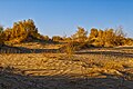 * Nomination: Aralkum desert at the sunrise. Aralkum national park, Muynak District, Karakalpakstan, Uzbekistan. By User:NatalieChunina --Красный 08:18, 14 August 2024 (UTC) * Review  Question Was the image downscaled? The camera is capable of 18 Megapixel but the image only has 4,5 Megapixel. --Augustgeyler 21:14, 17 August 2024 (UTC)