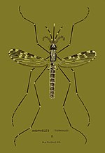 Thumbnail for File:Anopheles turkhudi.jpg