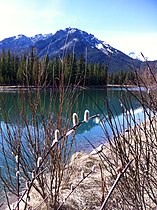 Banff Walk