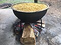 Fire Hearth Corn for corn tortilla