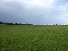 Towards Mill Lane - geograph.org.uk - 4998191.jpg