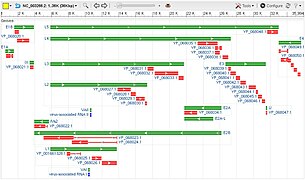 Human adenovirus E genes NCBI.jpg