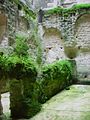 Chateau de Loches, dungeon