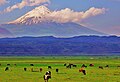 Little Ararat (Küçükağrı)