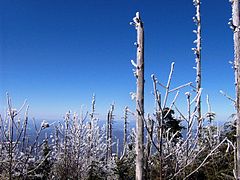 View from atop Mt. Guyot