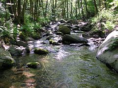 La Tordera al seu pas pel poble de Montseny.JPG