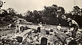 Squaring mahogany logs, circa 1936