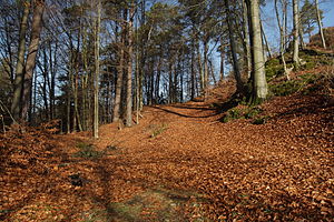 Burgstall Spies - Weg zur Oberen Burg, die Mulde links im Bild war vermutlich der Standort eines Gebäudes der Vorburg (Dezember 2012)