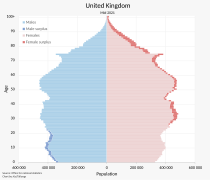 UK Population Pyramid.svg