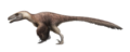 Utahraptor.