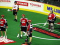 Calgary Roughnecks